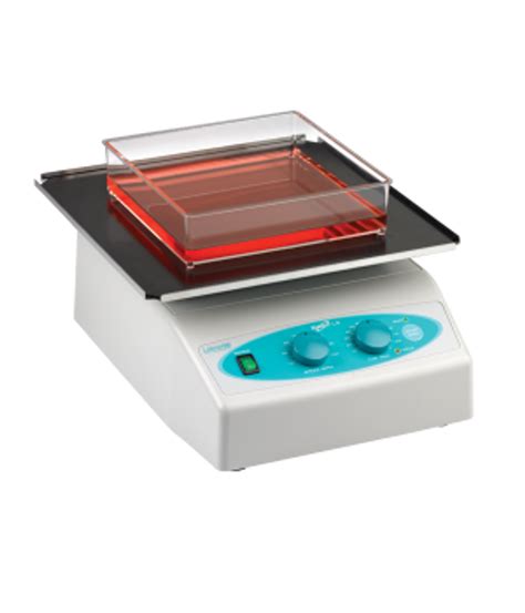 shaker for western blot